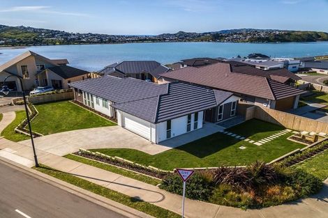 Photo of property in 64 John Burke Drive, Aotea, Porirua, 5024
