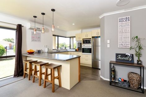 Photo of property in 25 Eclipse Rise, Flagstaff, Hamilton, 3210