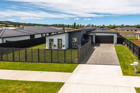 Photo of property in 11 Merino Crescent, Amberley, 7410