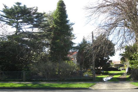 Photo of property in 69 Macarthur Street, Levin, 5510