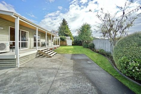 Photo of property in 19a Princess Street, Te Puke, 3119