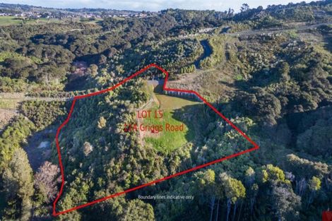 Photo of property in 114 Griggs Road, East Tamaki Heights, Auckland, 2571