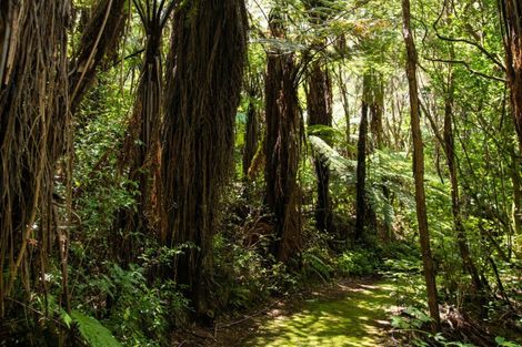 Photo of property in 281b Lund Road, Aongatete, Katikati, 3178