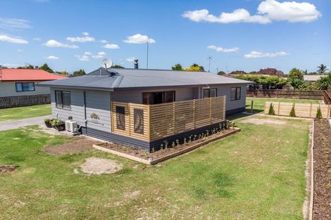 Photo of property in 14 Miller Place, Ngatea, 3503