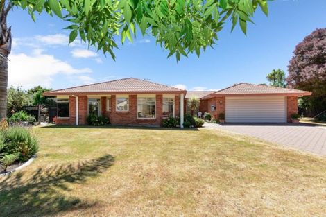 Photo of property in 3 Halcione Close, Flagstaff, Hamilton, 3210