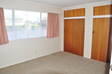 Photo of property in 51 Fitzroy Street, Terrace End, Palmerston North, 4410