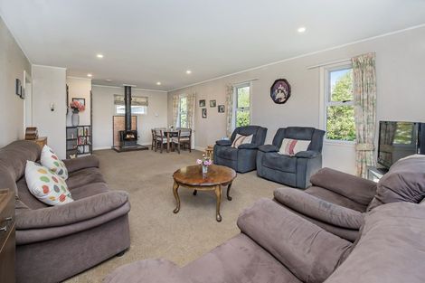 Photo of property in 22 Brook Street, Southbridge, 7602