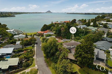 Photo of property in 214 Maungatapu Road, Maungatapu, Tauranga, 3112