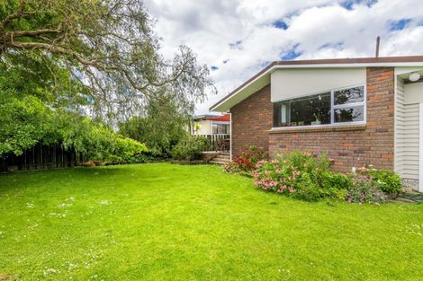 Photo of property in 175 Tiro Tiro Road, Levin, 5510