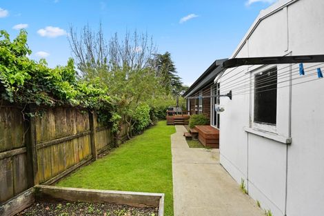 Photo of property in 17 Sillary Street, Hamilton East, Hamilton, 3216