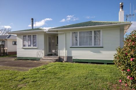 Photo of property in 90 Pipiroa Road, Ngatea, 3503