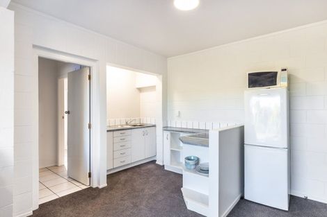 Photo of property in 26 Hinekura Avenue, Taupo, 3330