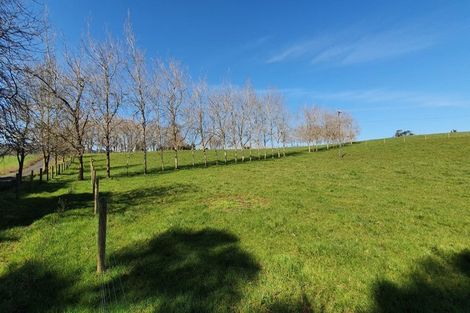 Photo of property in 105 Matakotea Road, Raglan, 3295