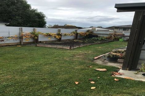 Photo of property in 10a Patching Street, Hampstead, Ashburton, 7700