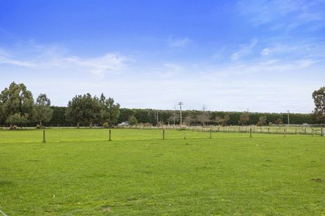 Photo of property in 176 Amberley Beach Road, Amberley, 7481