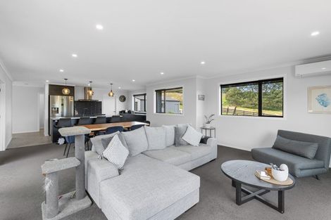 Photo of property in 107 Vineyard Road, Te Kauwhata, 3782