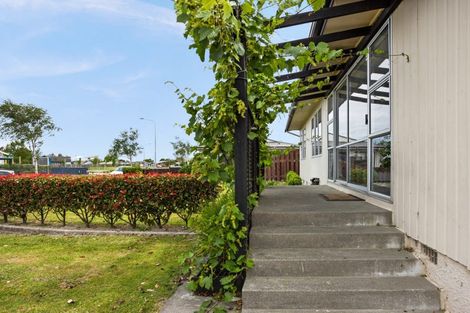 Photo of property in 12 Essex Street, Tamatea, Napier, 4112
