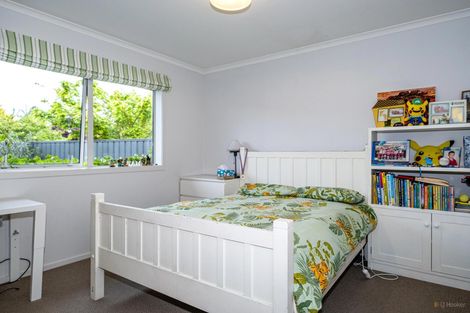 Photo of property in 22a Tancred Street, Geraldine, 7930