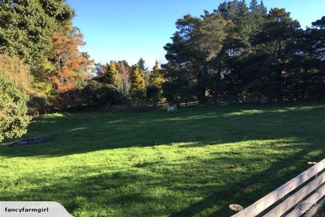 Photo of property in 226 Ararimu Road, Ramarama, Drury, 2579