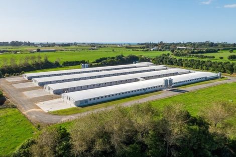 Photo of property in 116 Ngatimaru Road, Tikorangi, Waitara, 4383