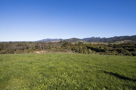 Photo of property in 291 Rea Road, Tahawai, 3178