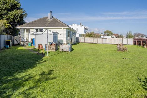 Photo of property in 24 Mahoe Street, Levin, 5510