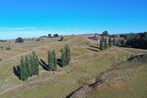 Photo of property in 3551 State Highway 1, Hunterville, 4784