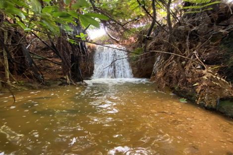 Photo of property in 102 Kennedy Road, Waikino, Waihi, 3682