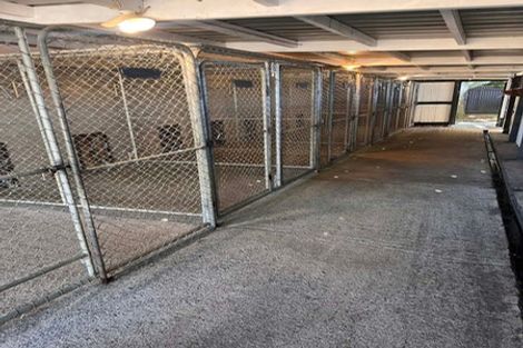 Photo of property in 140 Mako Mako Road, Levin, 5510