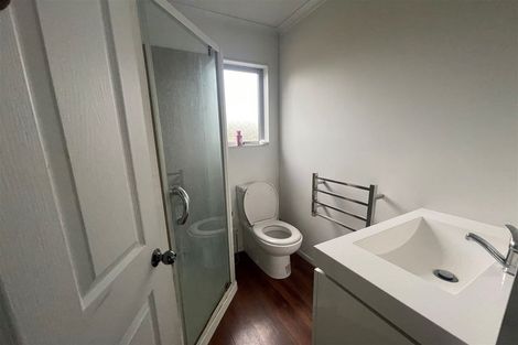 Photo of property in 65 Maldon Street, Chertsey, Ashburton, 7772