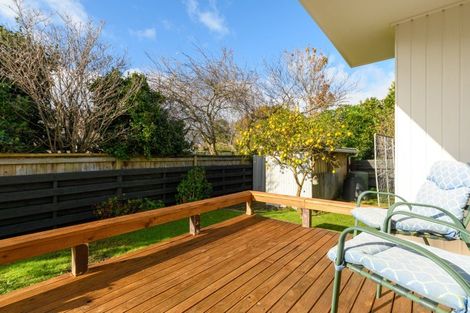 Photo of property in 36 Ridge Street, Otumoetai, Tauranga, 3110
