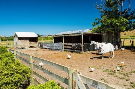 Photo of property in 55 Atkins Street, Patutahi, Gisborne, 4072