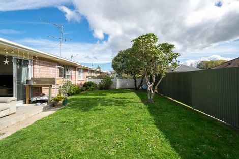 Photo of property in 60a Leefield Street, Blenheim, 7201