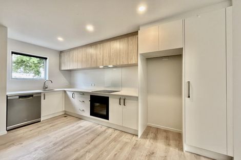 Photo of property in 1/77 Lismore Street, Waltham, Christchurch, 8011