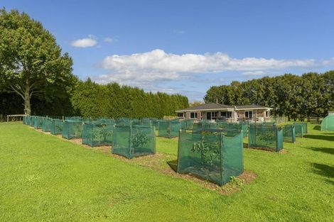 Photo of property in 400 Mclaren Falls Road, Omanawa, Tauranga, 3171