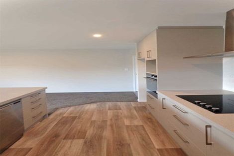 Photo of property in 55 Zabeel Street, Lincoln, 7608