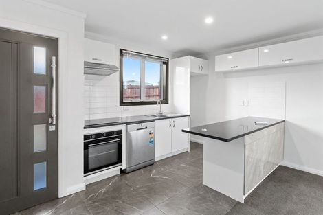 Photo of property in 87a Tiro Tiro Road, Levin, 5510