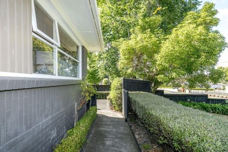 Photo of property in 100 Storey Avenue, Forest Lake, Hamilton, 3200