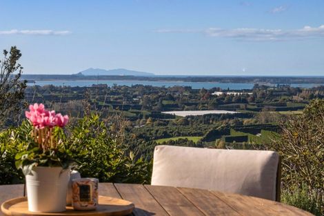 Photo of property in 186b Minden Road, Minden, Tauranga, 3176