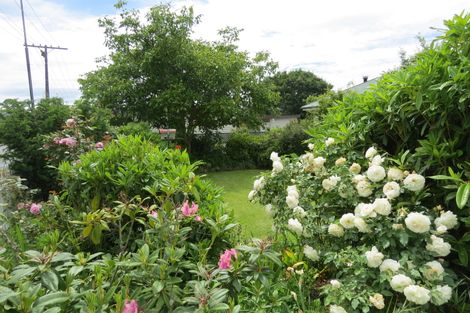 Photo of property in 13 Ayr Street, Fairlie, 7925