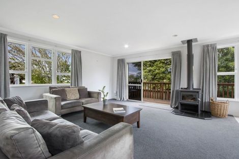 Photo of property in 29 Consols Street, Waihi, 3610