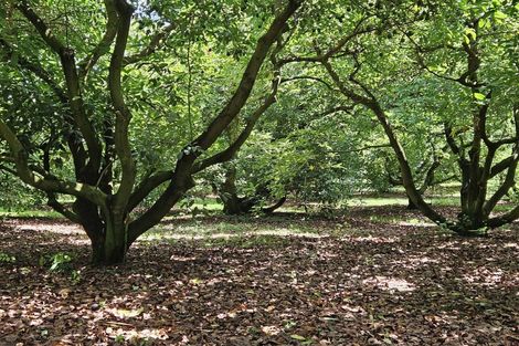 Photo of property in 4 Esdaile Road, Whakamarama, Tauranga, 3180