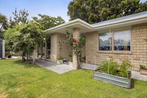 Photo of property in 11b Mackay Street, Waihi, 3610