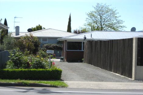 Photo of property in 103a Alabama Road, Redwoodtown, Blenheim, 7201