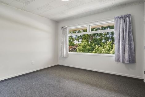 Photo of property in 19 Swanson Street, Kaikorai, Dunedin, 9010