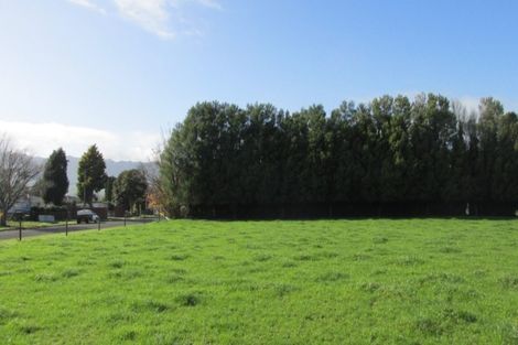 Photo of property in 13 Temm Road, Te Poi, Matamata, 3473