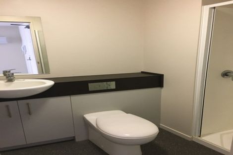 Photo of property in The Peak Apartments, 505/170 Taranaki Street, Te Aro, Wellington, 6011