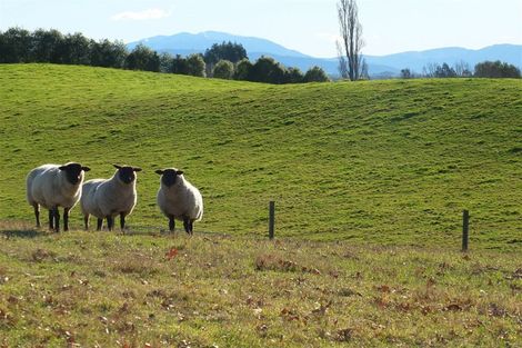 Photo of property in 703 Pleasant Point Highway, Levels, Timaru, 7975