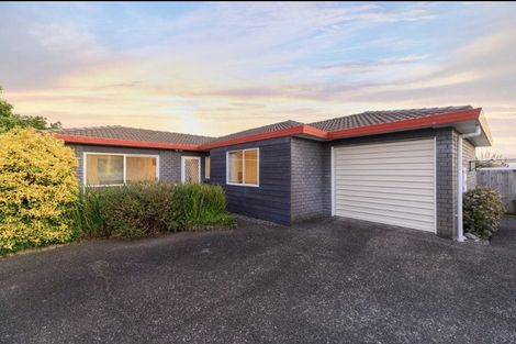 Photo of property in 62 Webster Avenue, Mount Roskill, Auckland, 1041