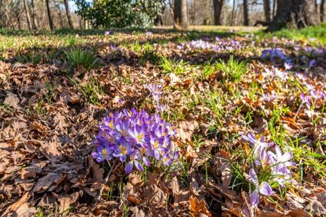 Photo of property in 2072 Homebush Road, Coalgate, Darfield, 7571